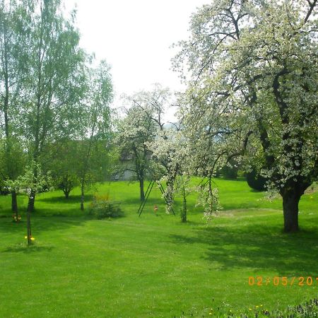 Entre Thur Et Montagne Bed and Breakfast Willer-sur-Thur Esterno foto