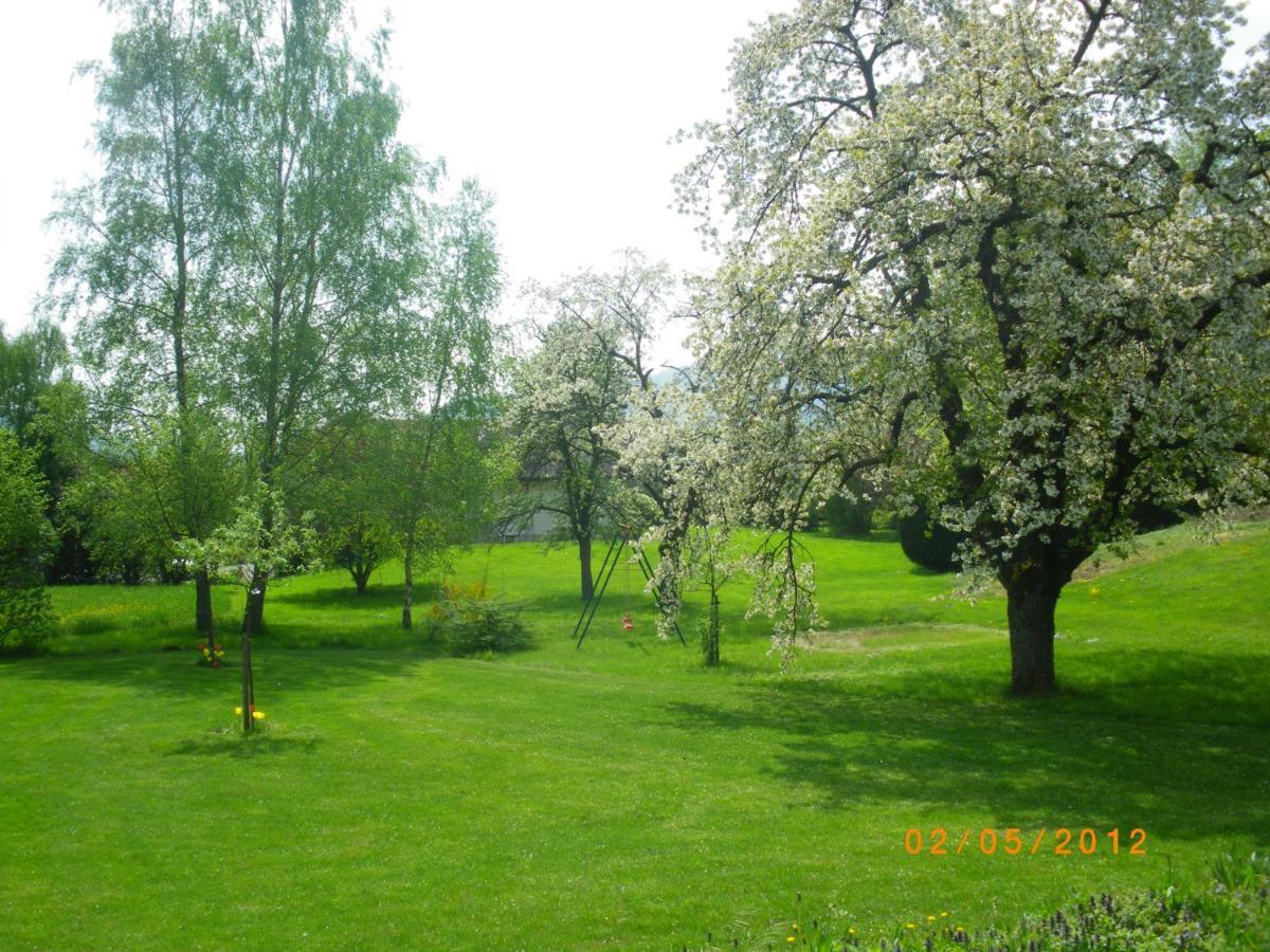 Entre Thur Et Montagne Bed and Breakfast Willer-sur-Thur Esterno foto